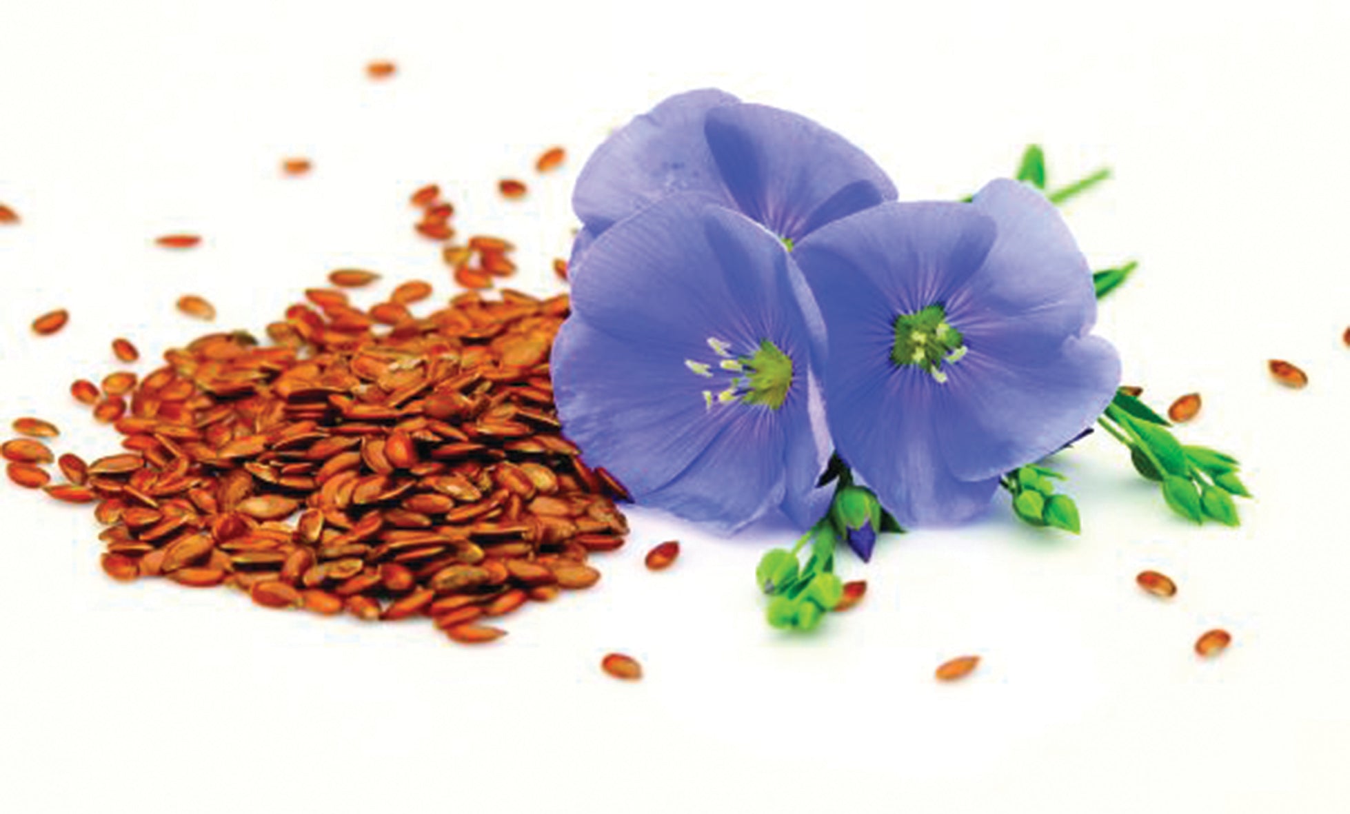 Aromatizante de Ambientes Capullo de Lino formato Spray