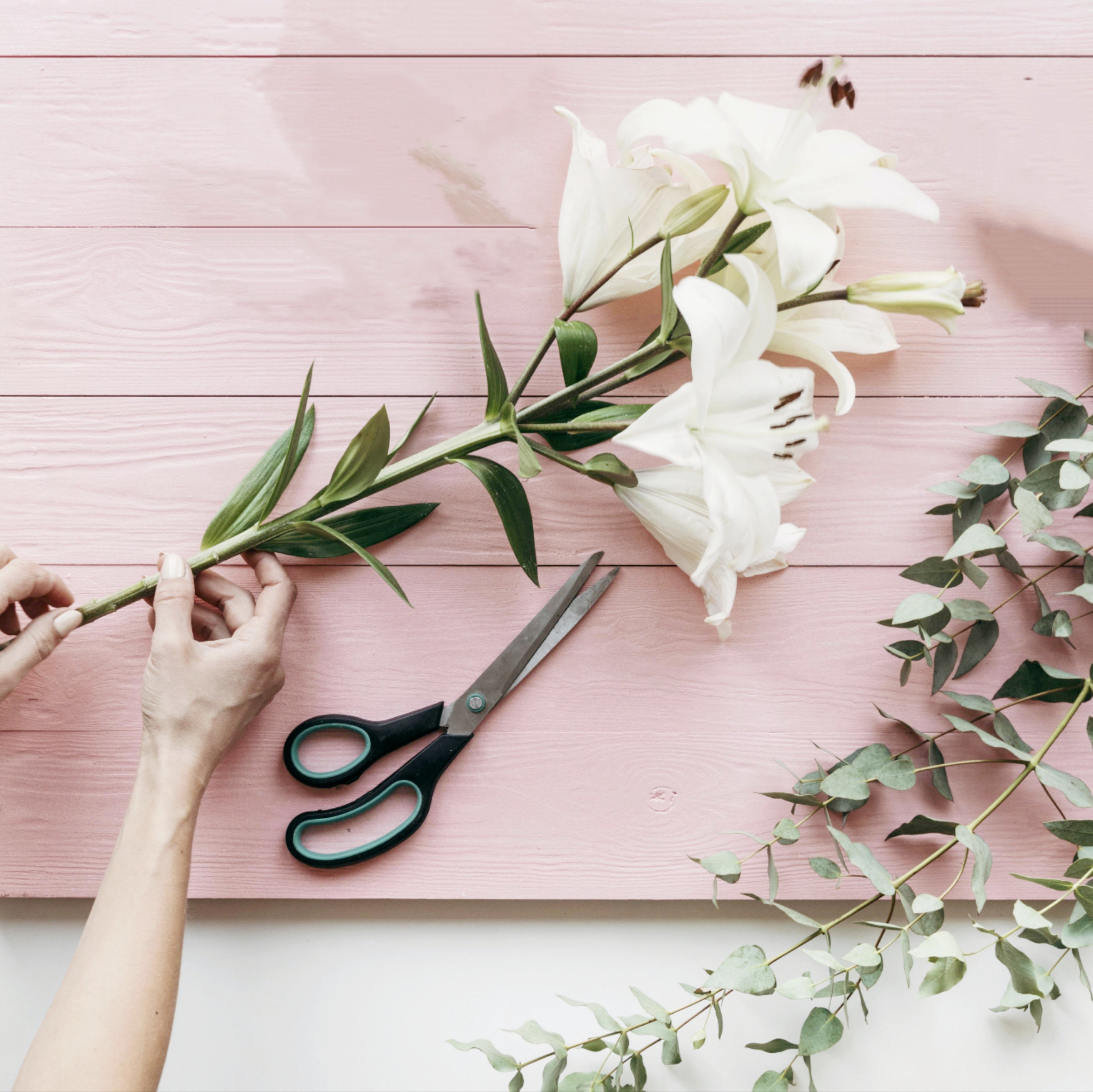 Suscripción de Flores Elegantes