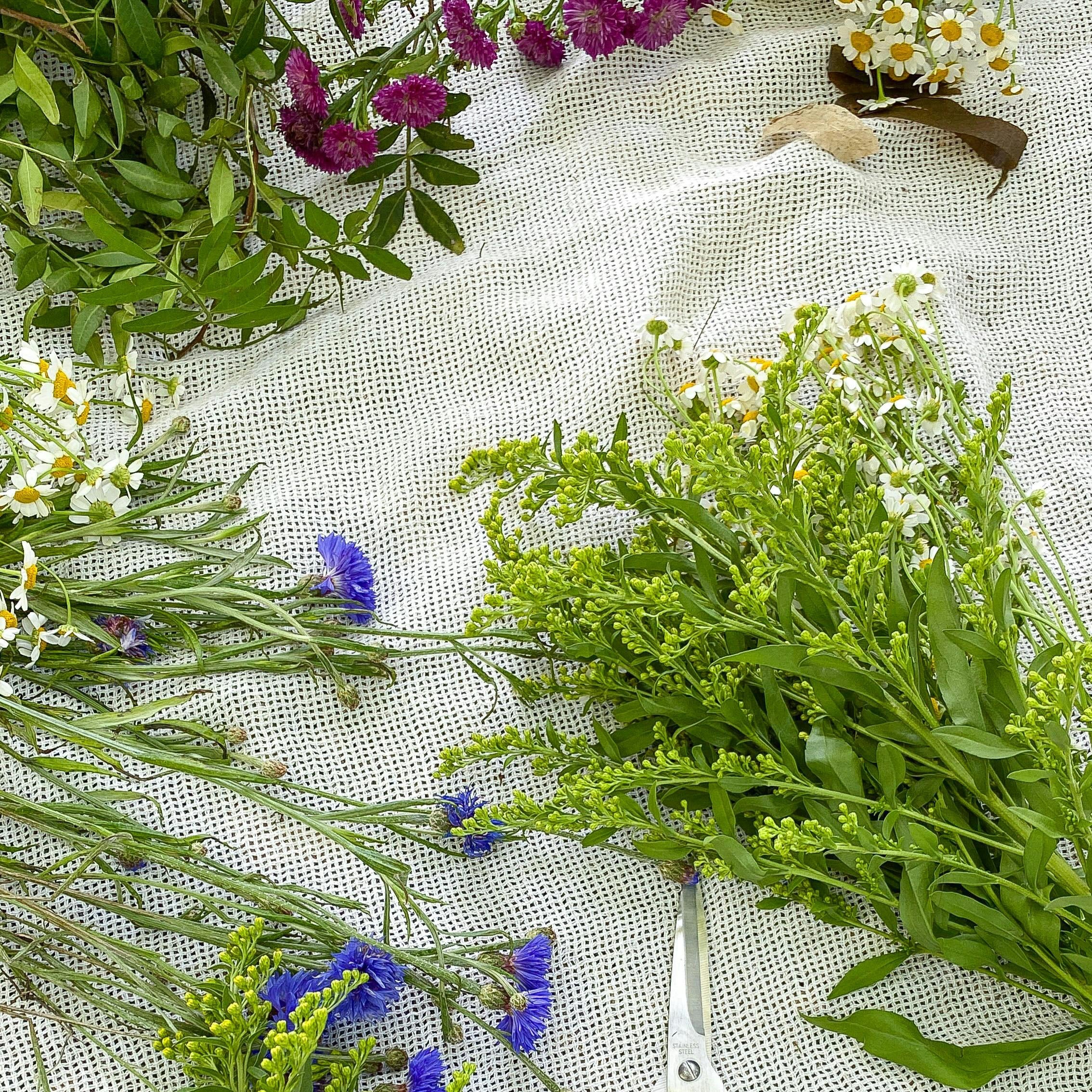 Suscripción Flores Silvestre