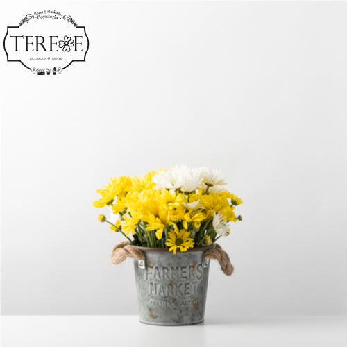 flores-y-almacigos-tere-e-maules-margarita-logo.jpg